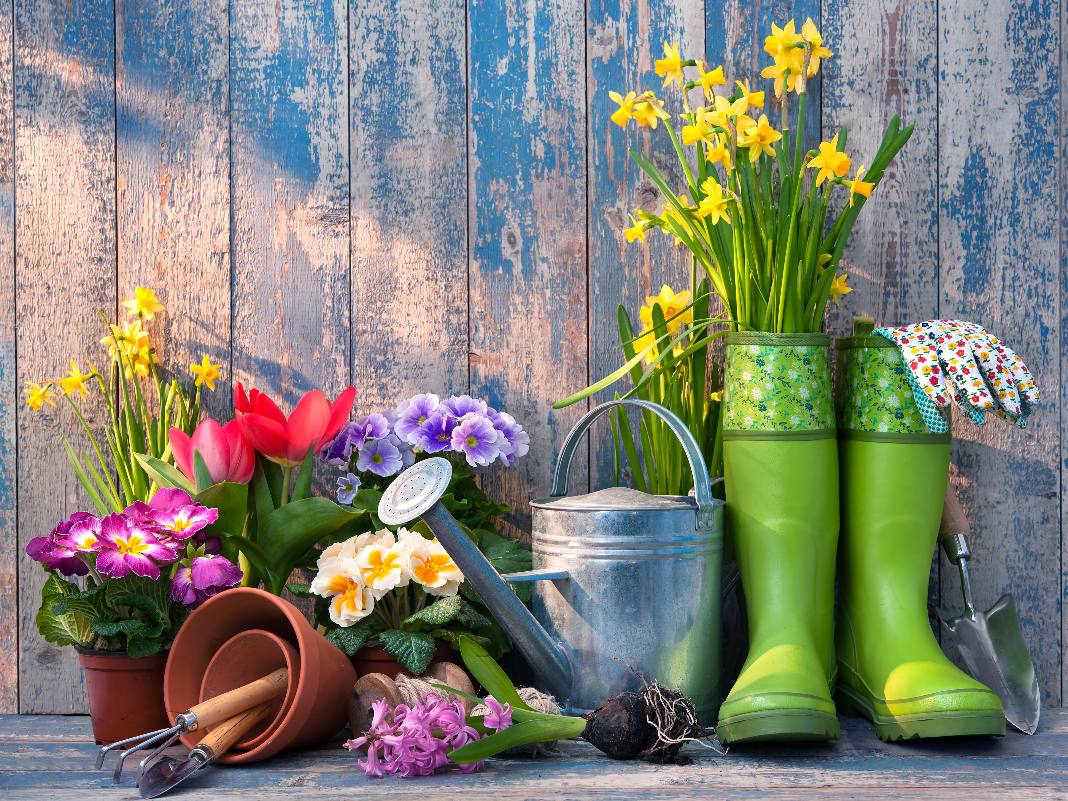 How to Get The Best Gardening Services in South London